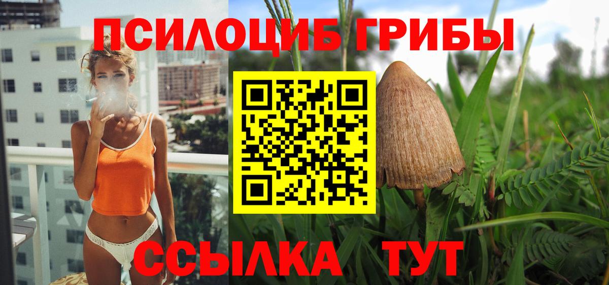 Тулун  Псилоцибиновые грибы Magic Shrooms  хочу   Вход с VPN 